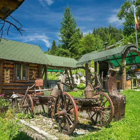 Casa Rustik Bucovina Villa Fundu Moldovei Exteriör bild